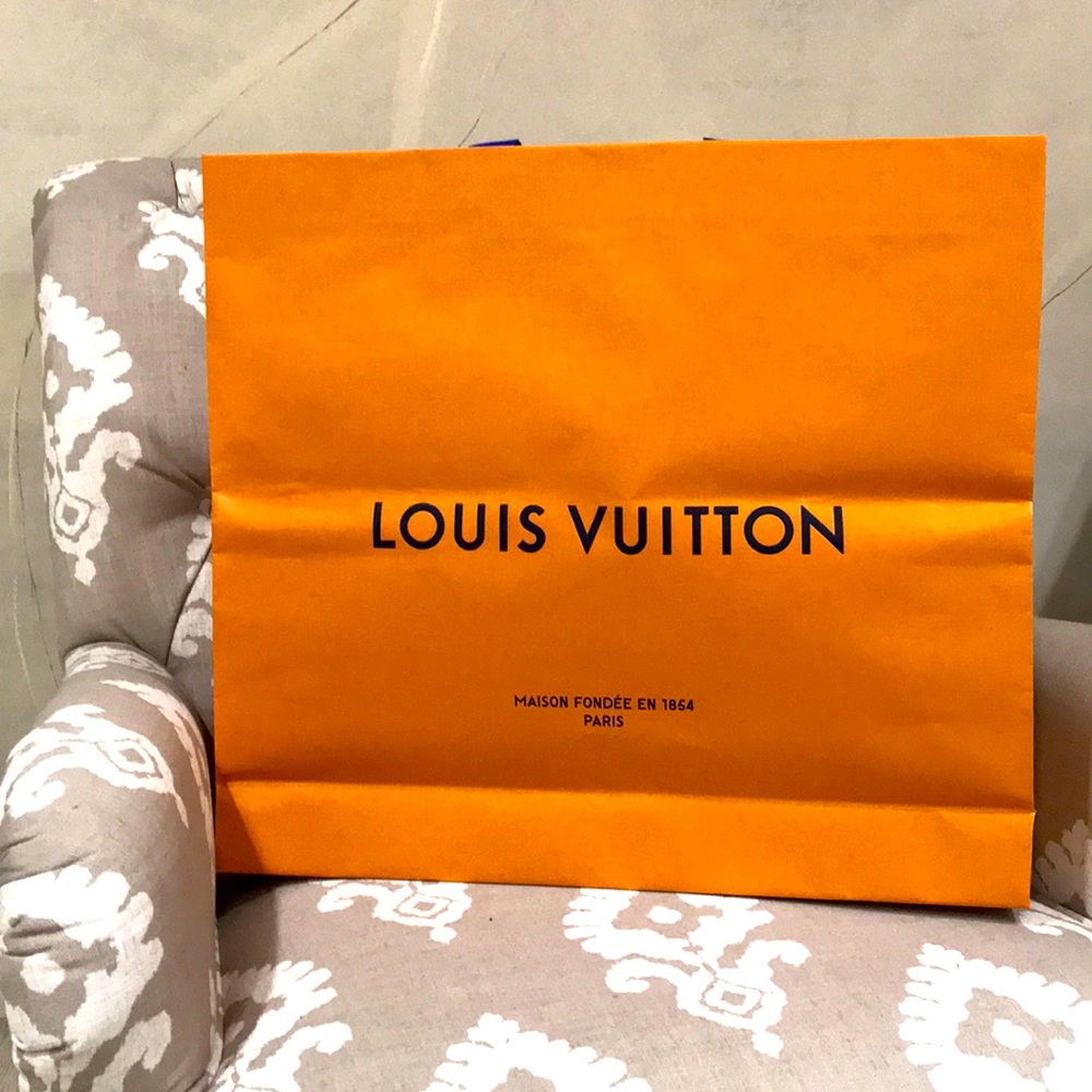 Louis Vuitton store shopping bag
